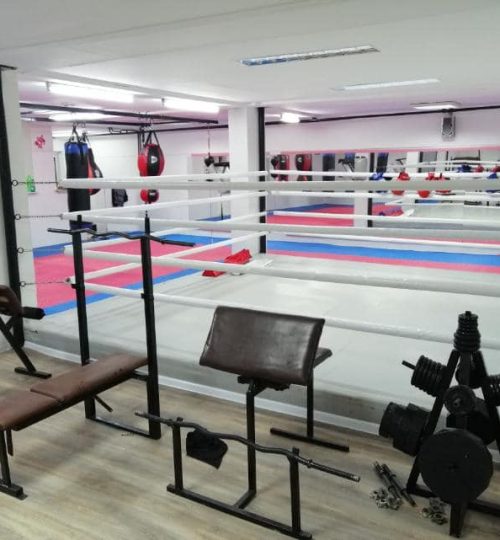 boxingclub_pinkpanter