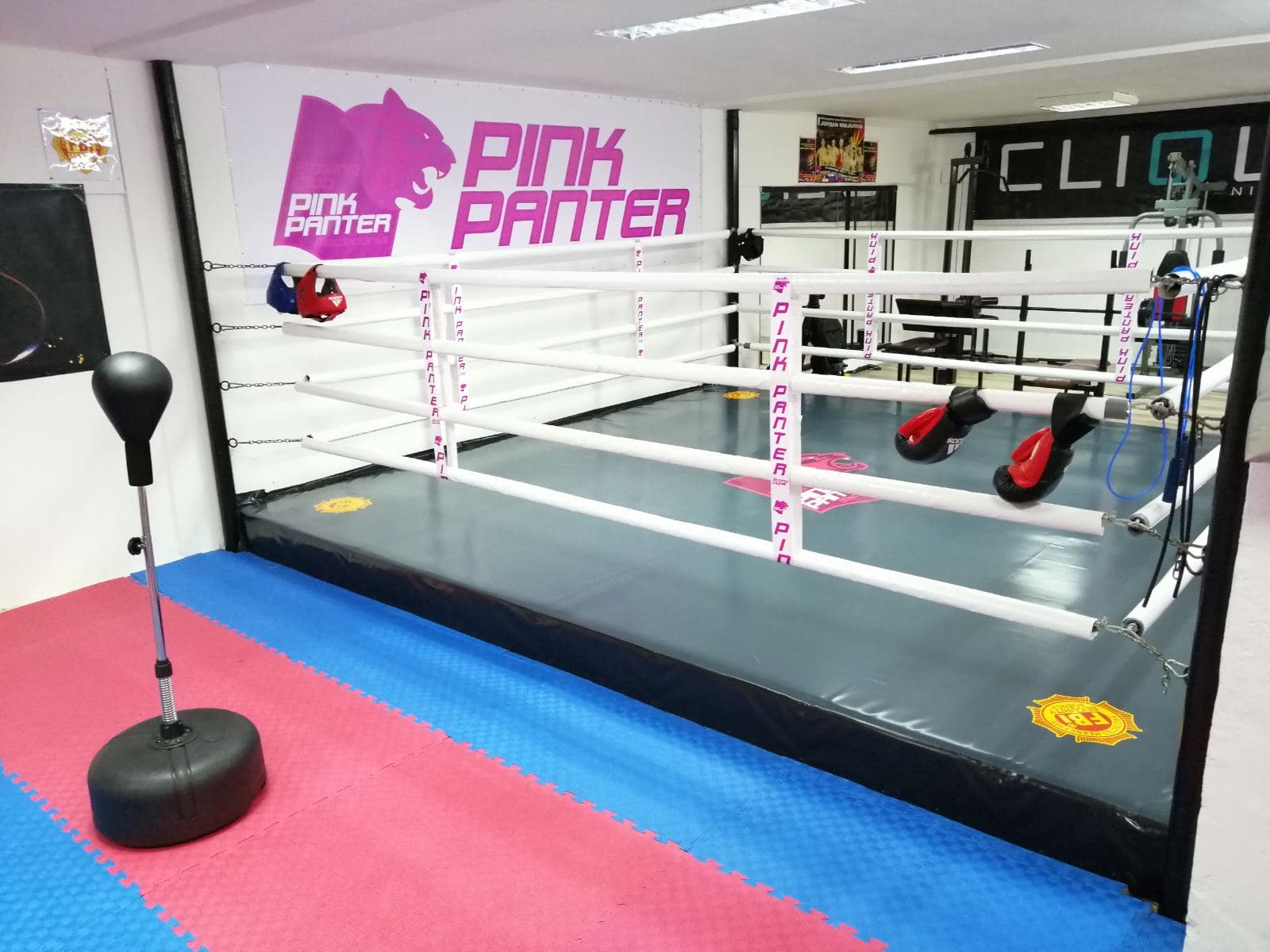 Applied Pressure Boxing Gym and Fitness: Read Reviews and Book Classes on  ClassPass